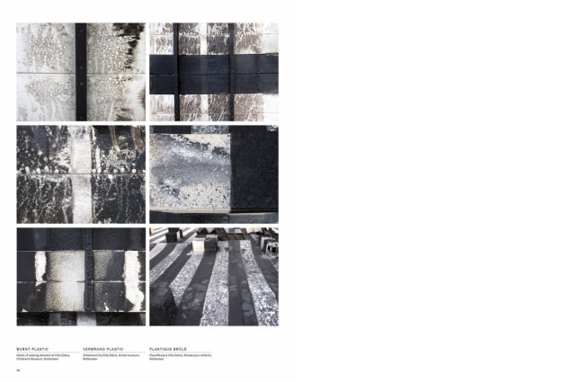 Lizan Freijsen / The Living Surface - An Altern